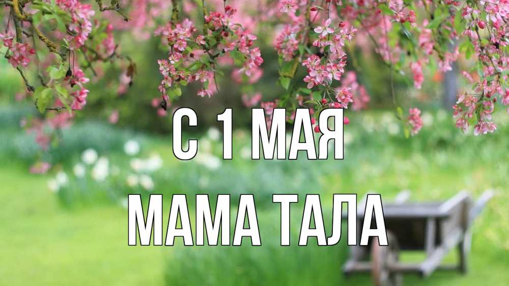 Открытка на каждый день с именем, Мама-Тала С 1 мая С 1 мая Прикольная открытка с пожеланием онлайн скачать бесплатно 