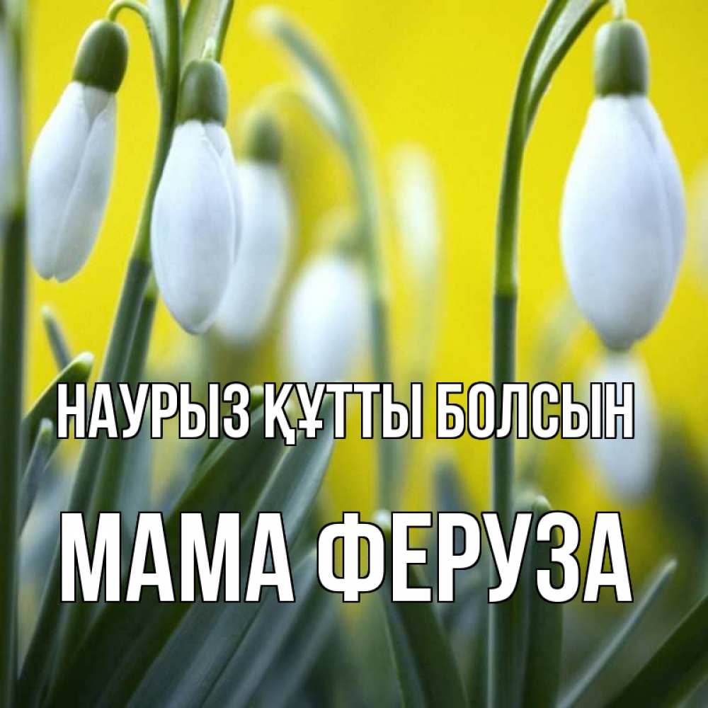 Открытка на каждый день с именем, Мама-Феруза Наурыз құтты болсын весенние цветы Прикольная открытка с пожеланием онлайн скачать бесплатно 