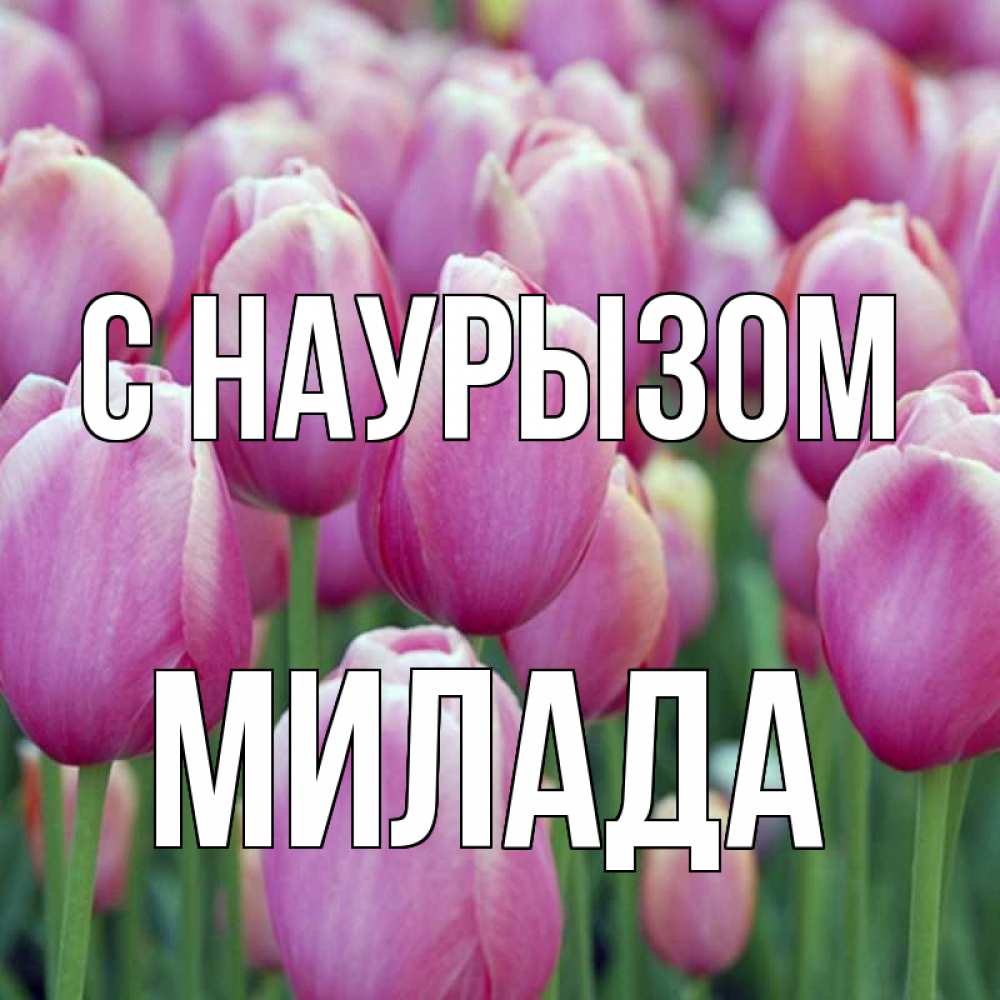 Открытка на каждый день с именем, Милада С наурызом праздник весны наурыз 69 Прикольная открытка с пожеланием онлайн скачать бесплатно 