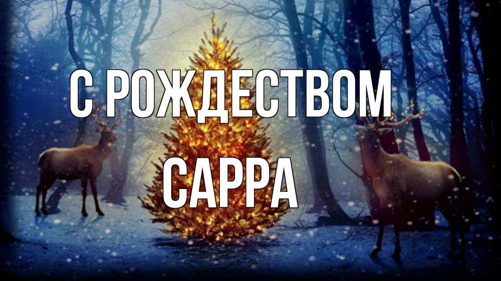 Открытка на каждый день с именем, Сарра С рождеством олени, новогодняя елка Прикольная открытка с пожеланием онлайн скачать бесплатно 