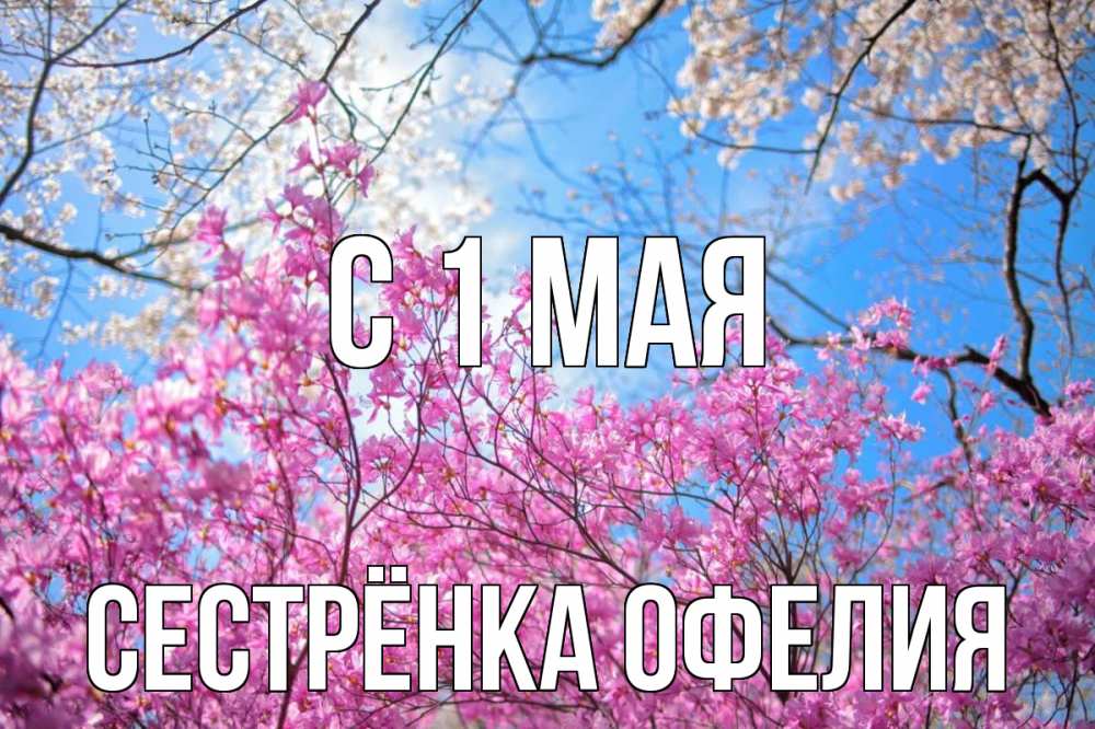 Открытка на каждый день с именем, Сестрёнка-Офелия С 1 мая С 1 мая Прикольная открытка с пожеланием онлайн скачать бесплатно 