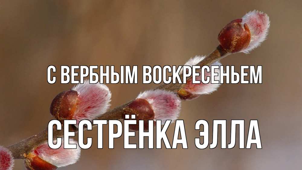 Открытка на каждый день с именем, Сестрёнка-Элла С вербным воскресеньем верба Прикольная открытка с пожеланием онлайн скачать бесплатно 