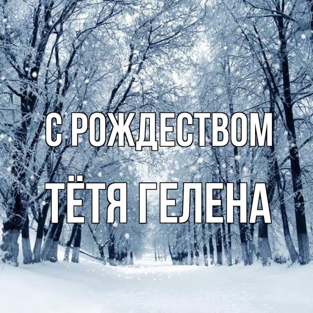 Открытка на каждый день с именем, Тётя-Гелена С рождеством снег, лес, парк Прикольная открытка с пожеланием онлайн скачать бесплатно 