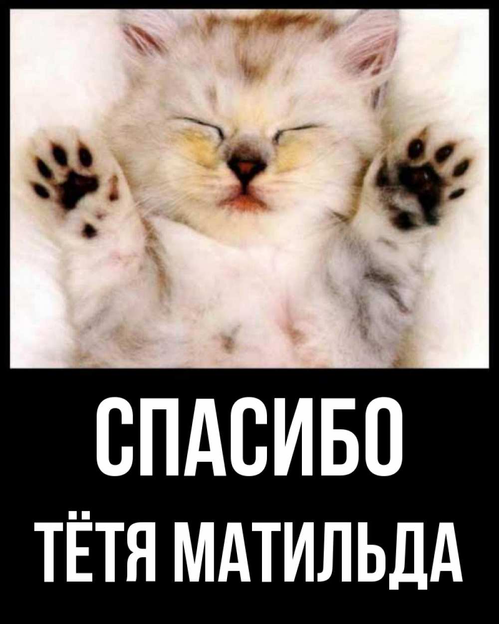 Открытка на каждый день с именем, Тётя-Матильда Спасибо маленький котенок Прикольная открытка с пожеланием онлайн скачать бесплатно 
