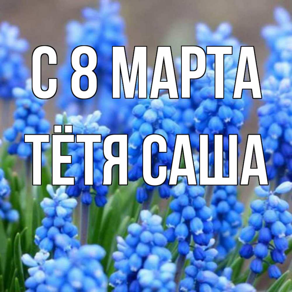 Открытка на каждый день с именем, Тётя-Саша С 8 МАРТА Поздравительная открытка для женщин с цветами на праздничную дату Прикольная открытка с пожеланием онлайн скачать бесплатно 