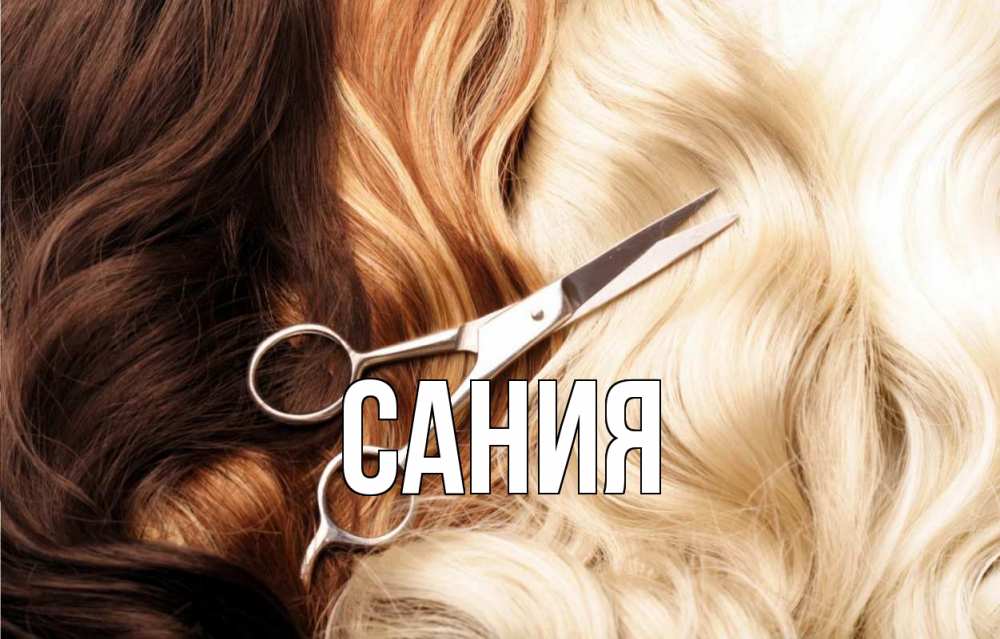 Открытка на каждый день с именем, Сания Главная с днем парикмахера ножницы волосы Прикольная открытка с пожеланием онлайн скачать бесплатно 