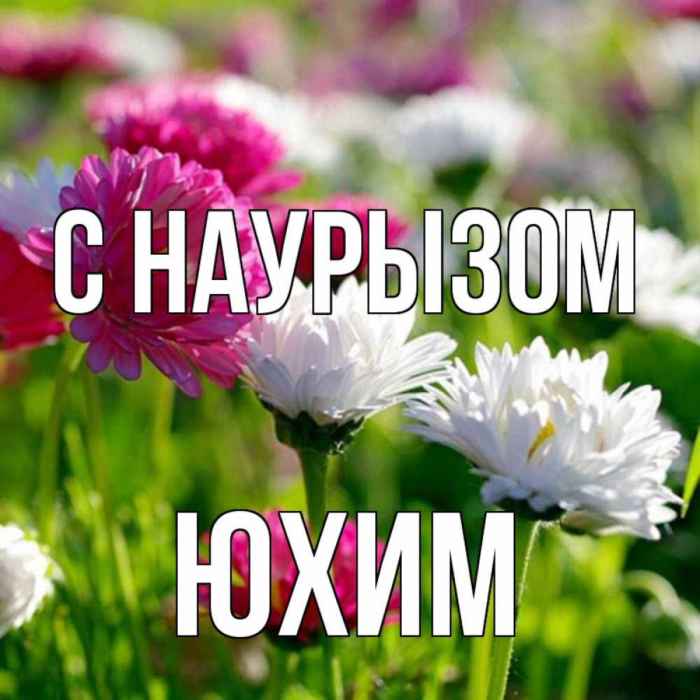 Открытка на каждый день с именем, Юхим С наурызом праздник весны наурыз красота Прикольная открытка с пожеланием онлайн скачать бесплатно 