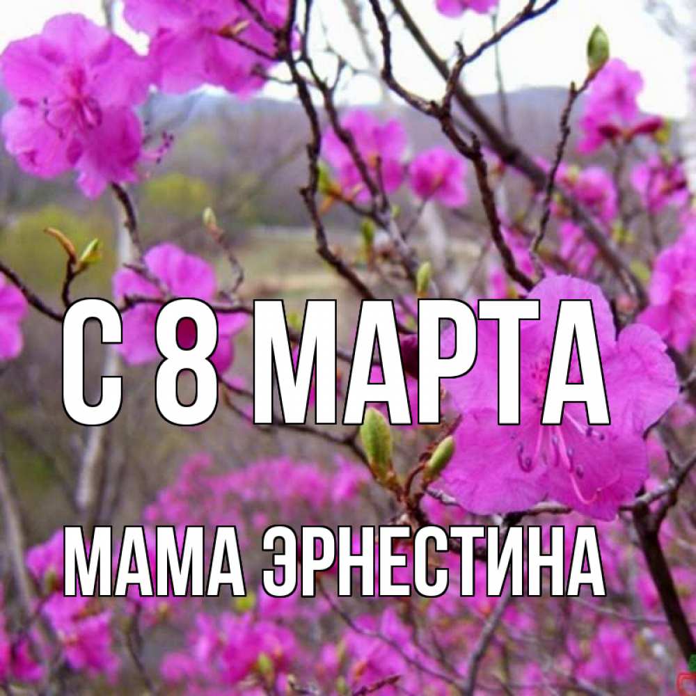 Открытка на каждый день с именем, Мама-Эрнестина С 8 МАРТА международный женский день Прикольная открытка с пожеланием онлайн скачать бесплатно 