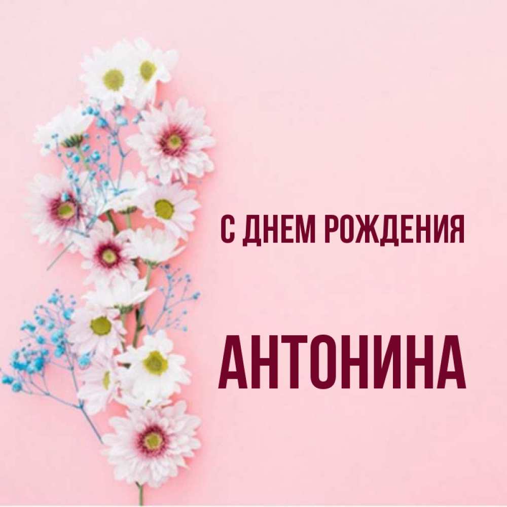 С Днем Рождения Антонина Картинки