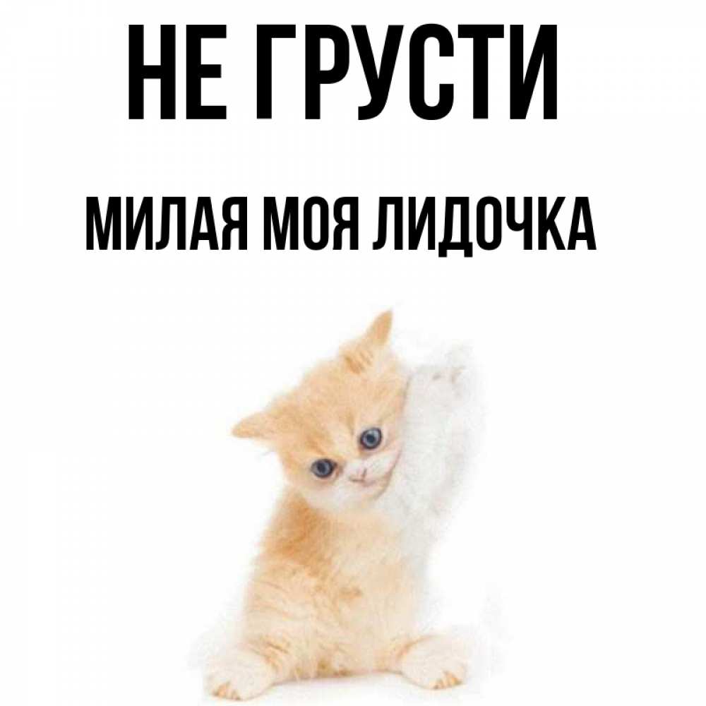 Мило не грусти