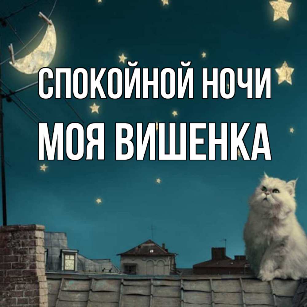 Спокойной ночи солнышко мое девушке красивые картинки