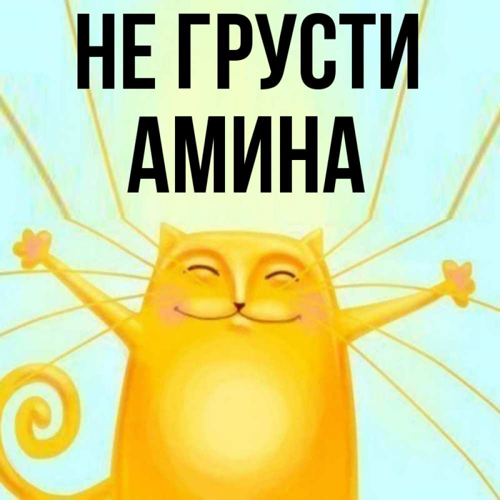 Открытка на каждый день с именем, Амина Не грусти обнимашки усатые Прикольная открытка с пожеланием онлайн скачать бесплатно 