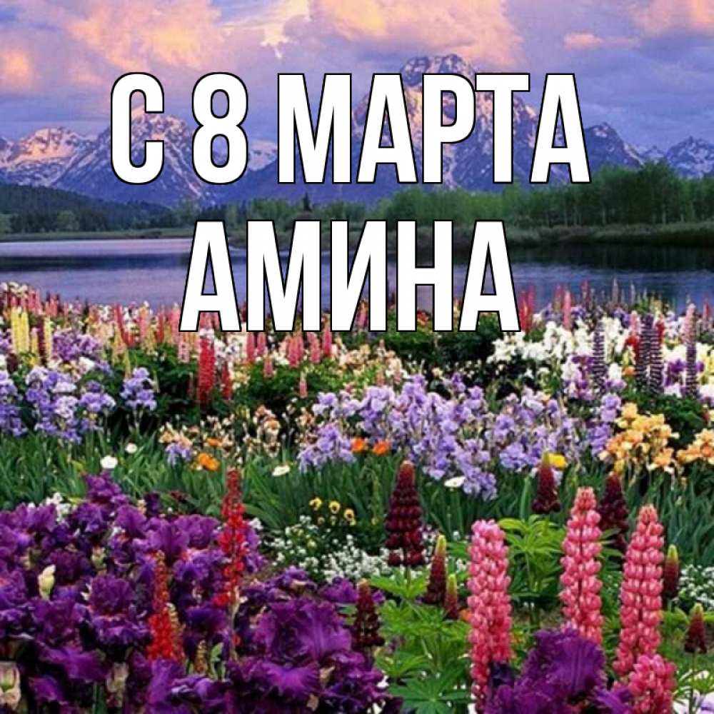 Открытка на каждый день с именем, Амина С 8 МАРТА международный женский день Прикольная открытка с пожеланием онлайн скачать бесплатно 