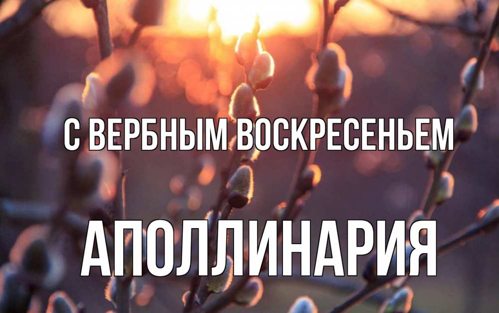 Открытка на каждый день с именем, Аполлинария С вербным воскресеньем верба Прикольная открытка с пожеланием онлайн скачать бесплатно 