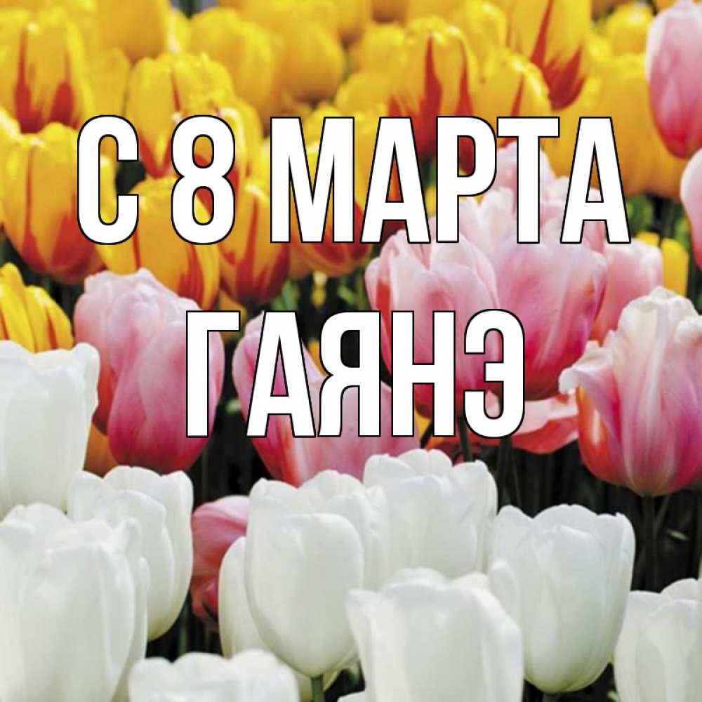 Открытка на каждый день с именем, Гаянэ С 8 марта разноцветные цветы Прикольная открытка с пожеланием онлайн скачать бесплатно 