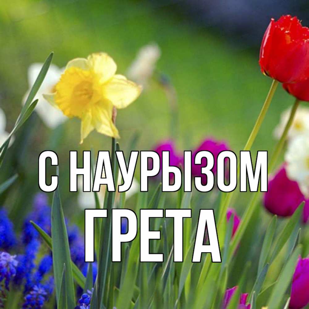 Открытка на каждый день с именем, Грета С наурызом праздник весны наурыз 3 Прикольная открытка с пожеланием онлайн скачать бесплатно 