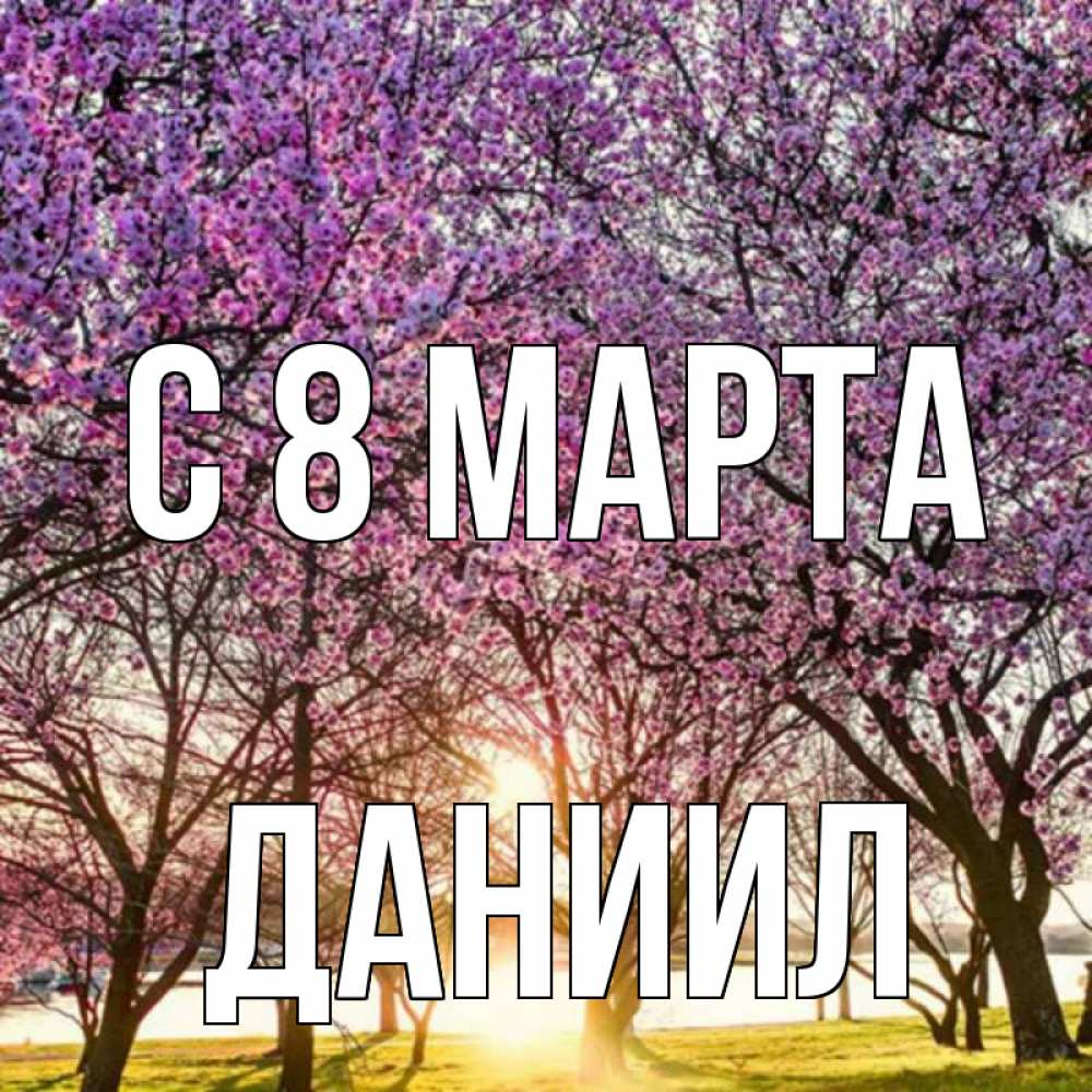 Открытка на каждый день с именем, Даниил С 8 МАРТА международный женский день Прикольная открытка с пожеланием онлайн скачать бесплатно 