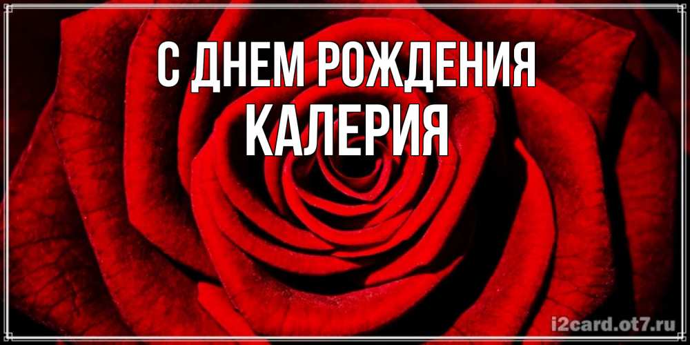 Открытка на каждый день с именем, Калерия С днем рождения алая роза Прикольная открытка с пожеланием онлайн скачать бесплатно 