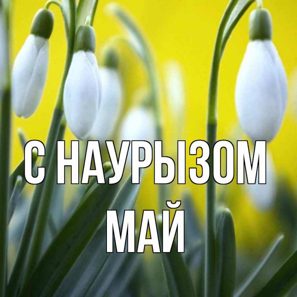 Открытка на каждый день с именем, Май С наурызом весенние цветы Прикольная открытка с пожеланием онлайн скачать бесплатно 