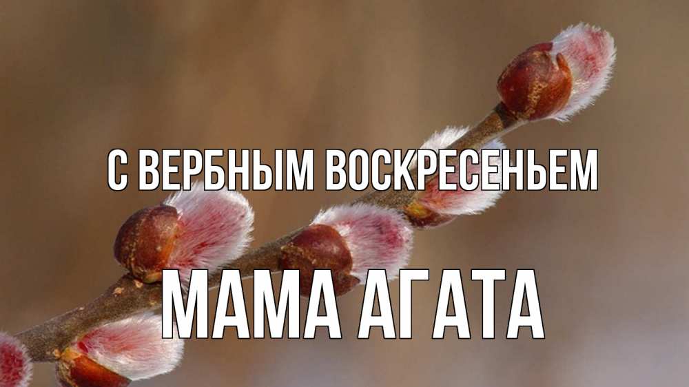 Открытка на каждый день с именем, Мама-Агата С вербным воскресеньем верба Прикольная открытка с пожеланием онлайн скачать бесплатно 