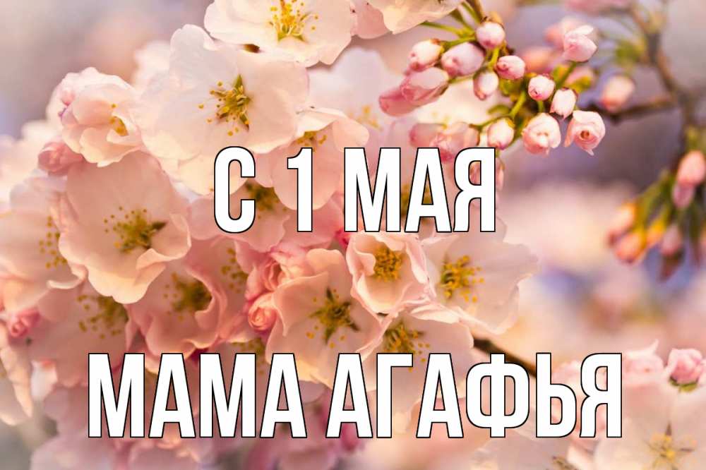 Открытка на каждый день с именем, Мама-Агафья С 1 мая С 1 мая Прикольная открытка с пожеланием онлайн скачать бесплатно 