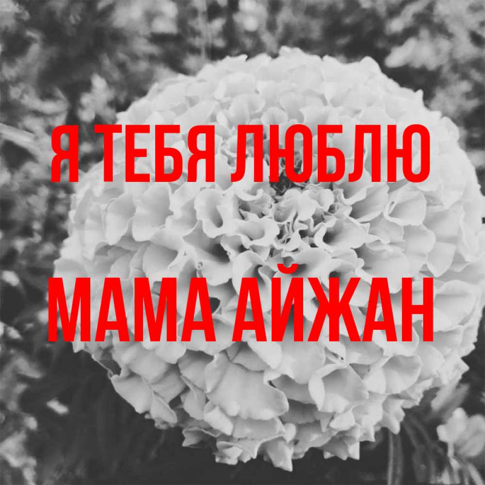 Открытка на каждый день с именем, Мама-Айжан Я тебя люблю подпись Прикольная открытка с пожеланием онлайн скачать бесплатно 