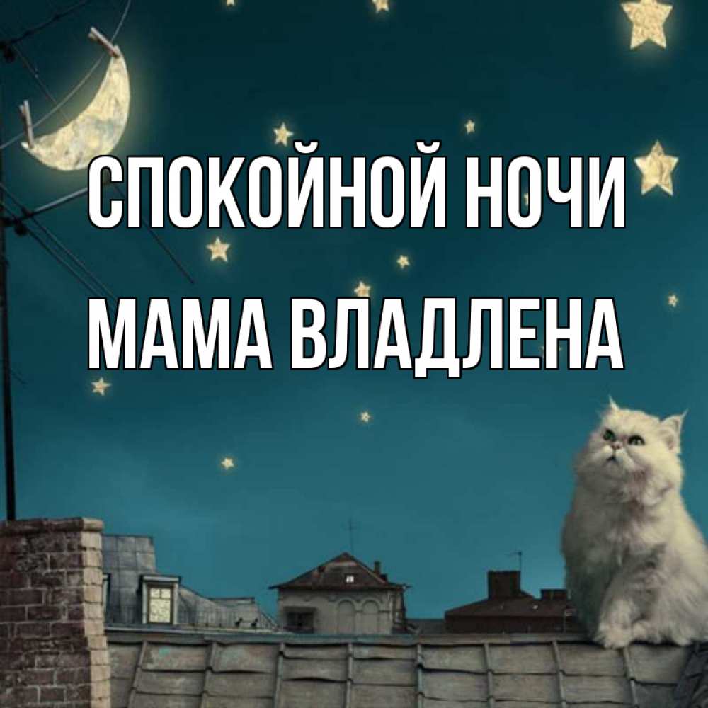 Открытка на каждый день с именем, Мама-Владлена Спокойной ночи белый кот сидит на крыше Прикольная открытка с пожеланием онлайн скачать бесплатно 