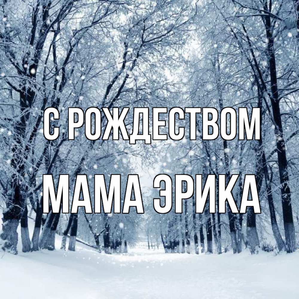 Открытка на каждый день с именем, Мама-Эрика С рождеством снег, лес, парк Прикольная открытка с пожеланием онлайн скачать бесплатно 