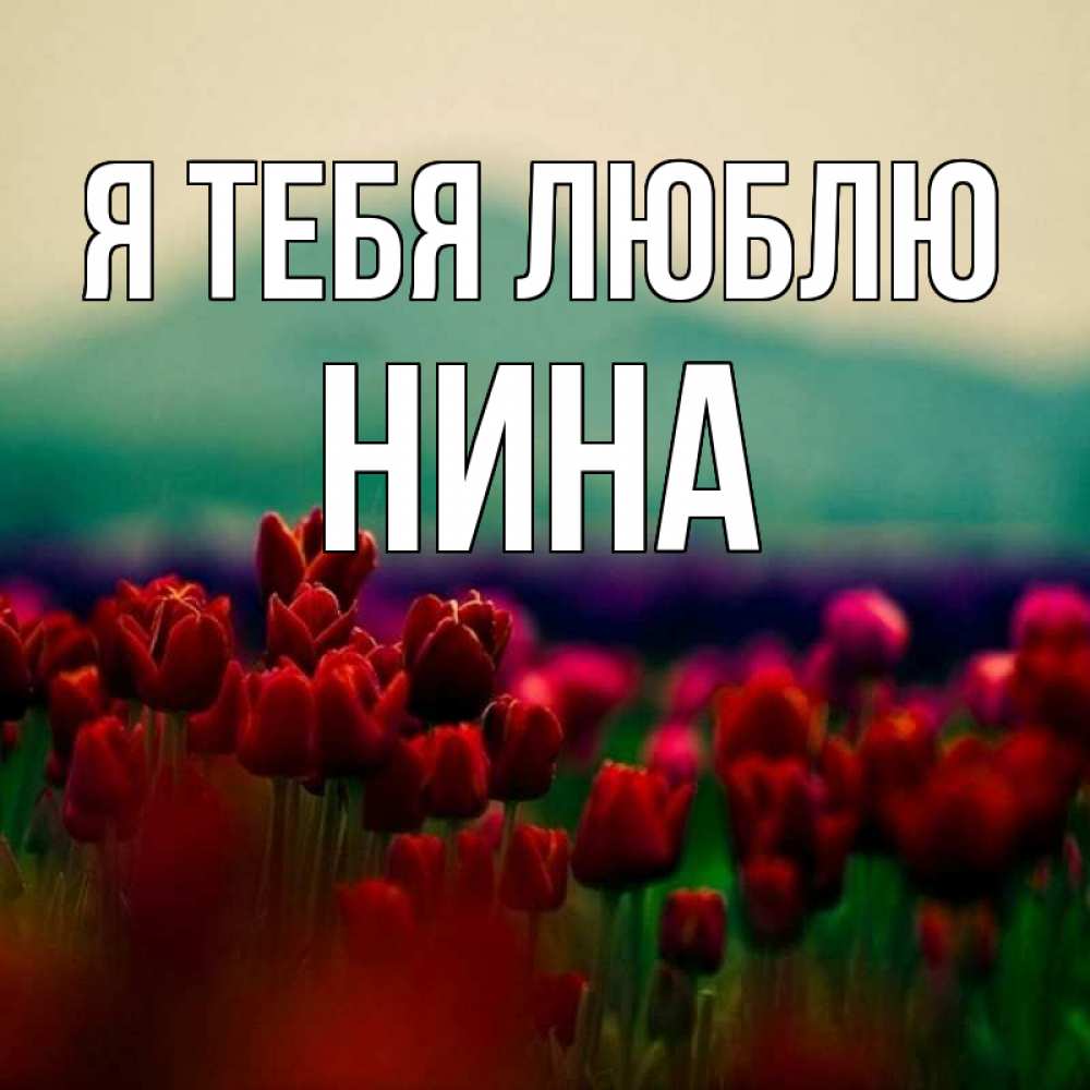 Открытка на каждый день с именем, Нина Я тебя люблю тюльпаны 4 Прикольная открытка с пожеланием онлайн скачать бесплатно 