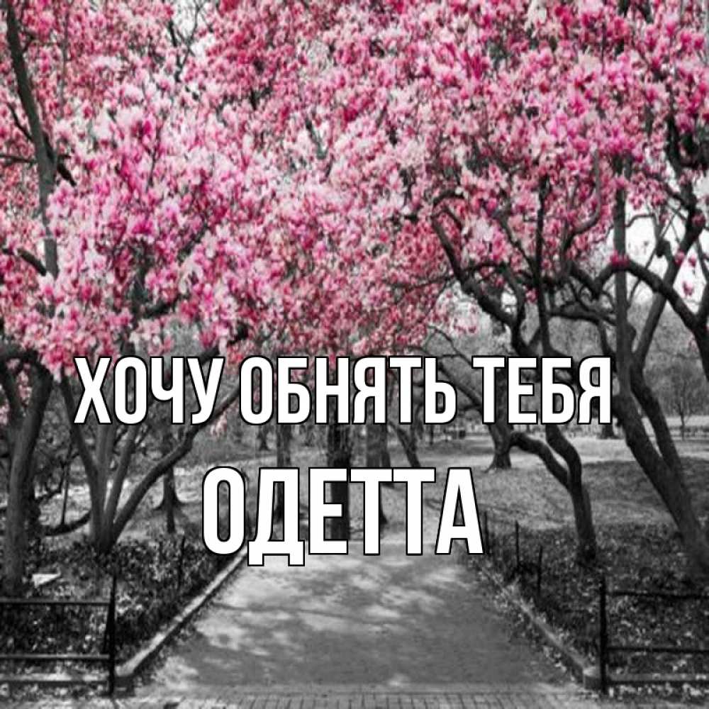 Открытка на каждый день с именем, Одетта Хочу обнять тебя обработанное фото Прикольная открытка с пожеланием онлайн скачать бесплатно 