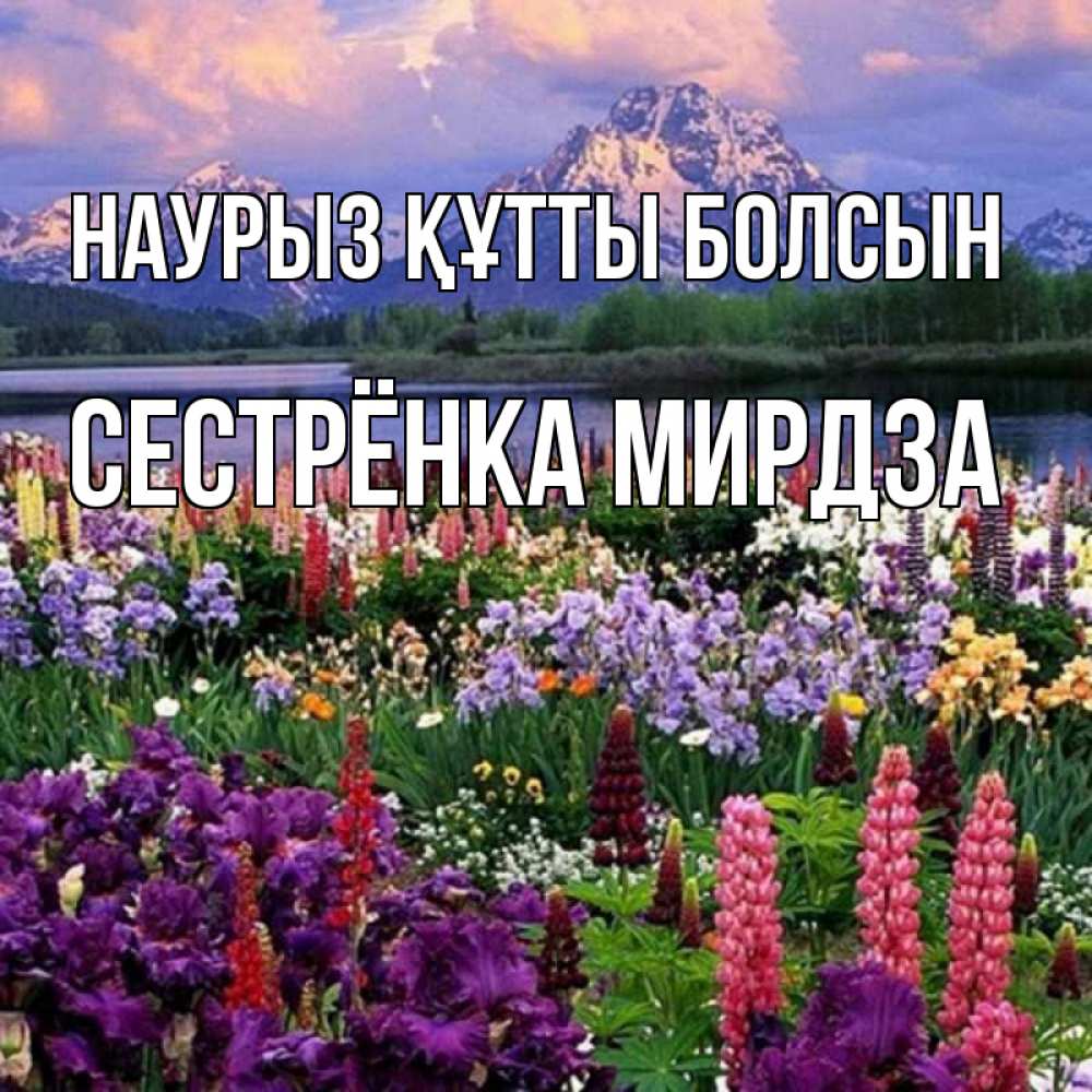 Открытка на каждый день с именем, Сестрёнка-Мирдза Наурыз құтты болсын наурыз Прикольная открытка с пожеланием онлайн скачать бесплатно 