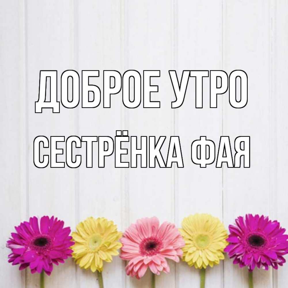 Открытка на каждый день с именем, Сестрёнка-Фая Доброе утро красный желтый и розовый цветок Прикольная открытка с пожеланием онлайн скачать бесплатно 