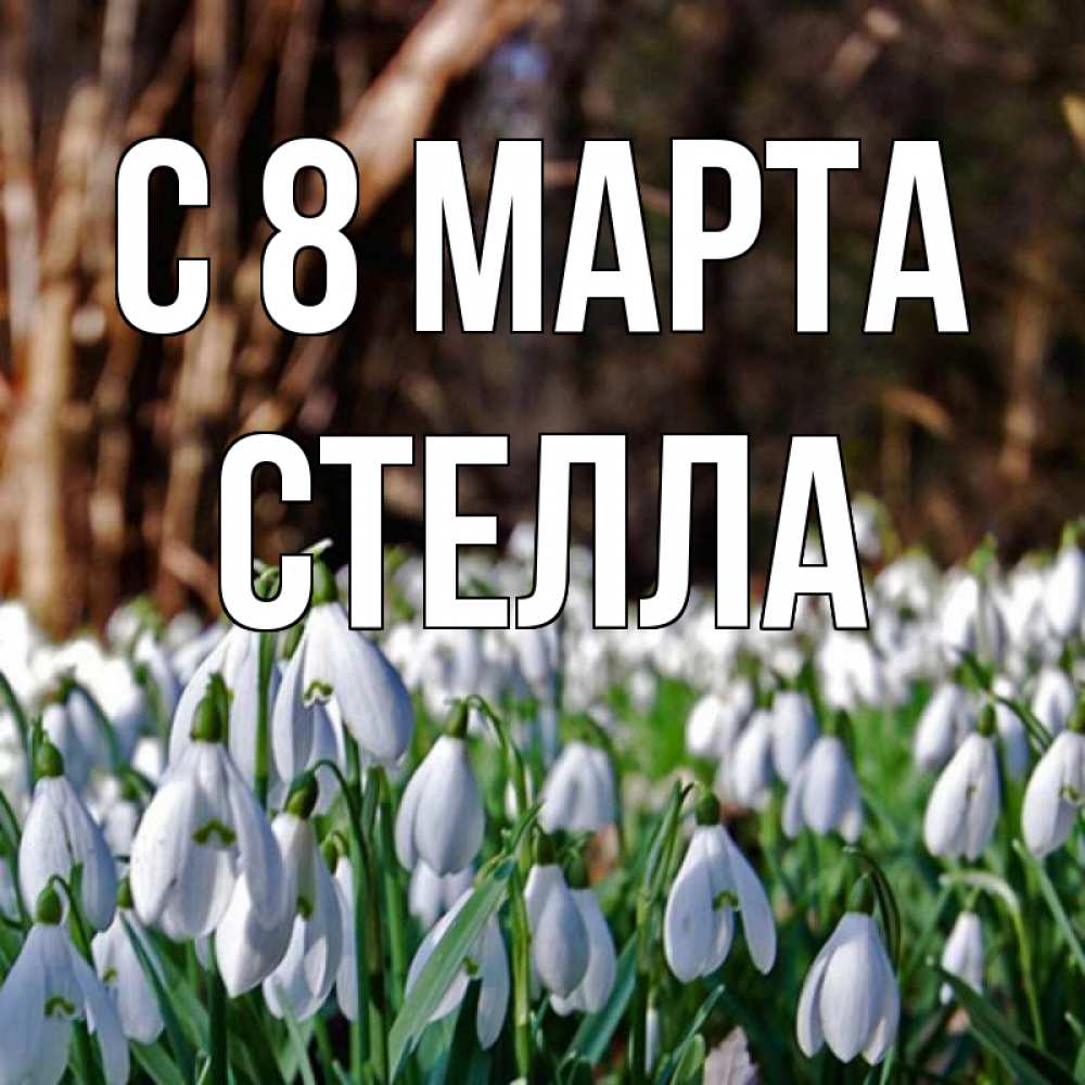Открытка на каждый день с именем, Стелла С 8 МАРТА с подснежниками 1 Прикольная открытка с пожеланием онлайн скачать бесплатно 