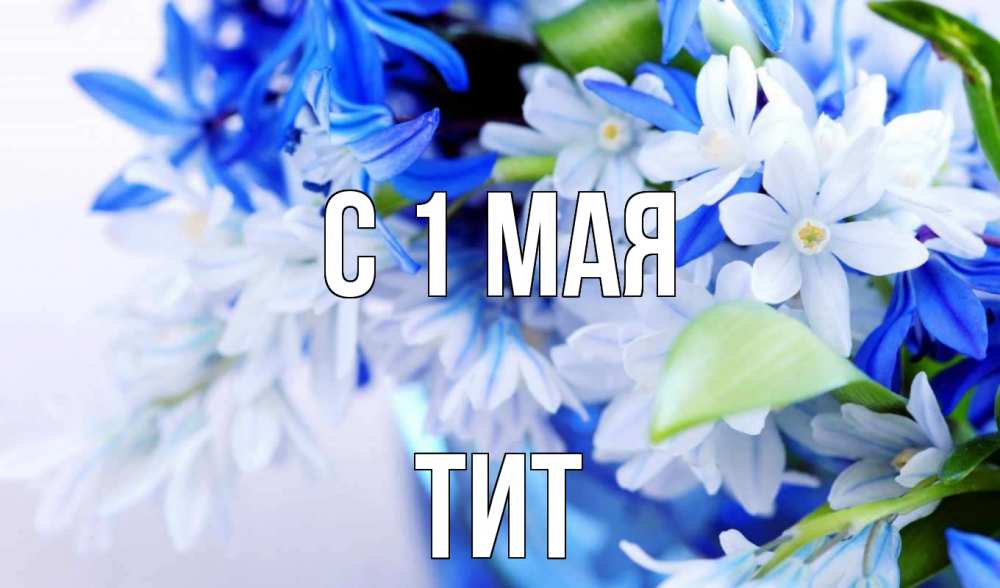 Открытка на каждый день с именем, Тит С 1 мая С 1 мая Прикольная открытка с пожеланием онлайн скачать бесплатно 