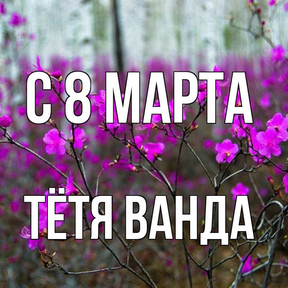 Открытка на каждый день с именем, Тётя-Ванда С 8 МАРТА дикие цветы Прикольная открытка с пожеланием онлайн скачать бесплатно 