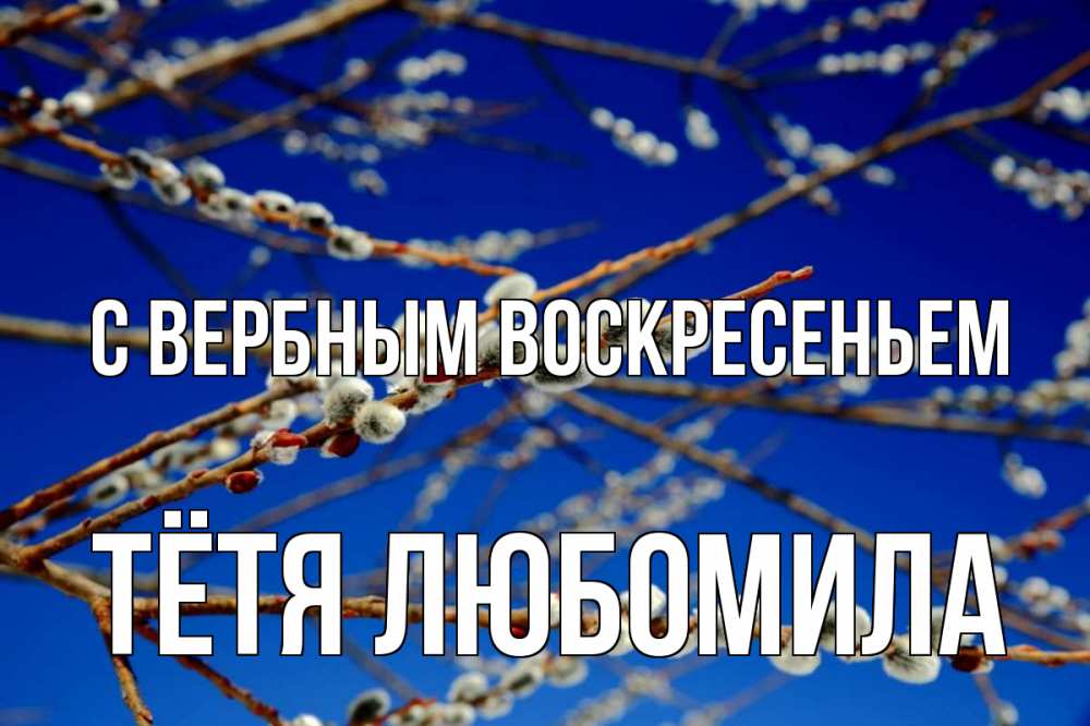 Открытка на каждый день с именем, Тётя-Любомила С вербным воскресеньем верба Прикольная открытка с пожеланием онлайн скачать бесплатно 