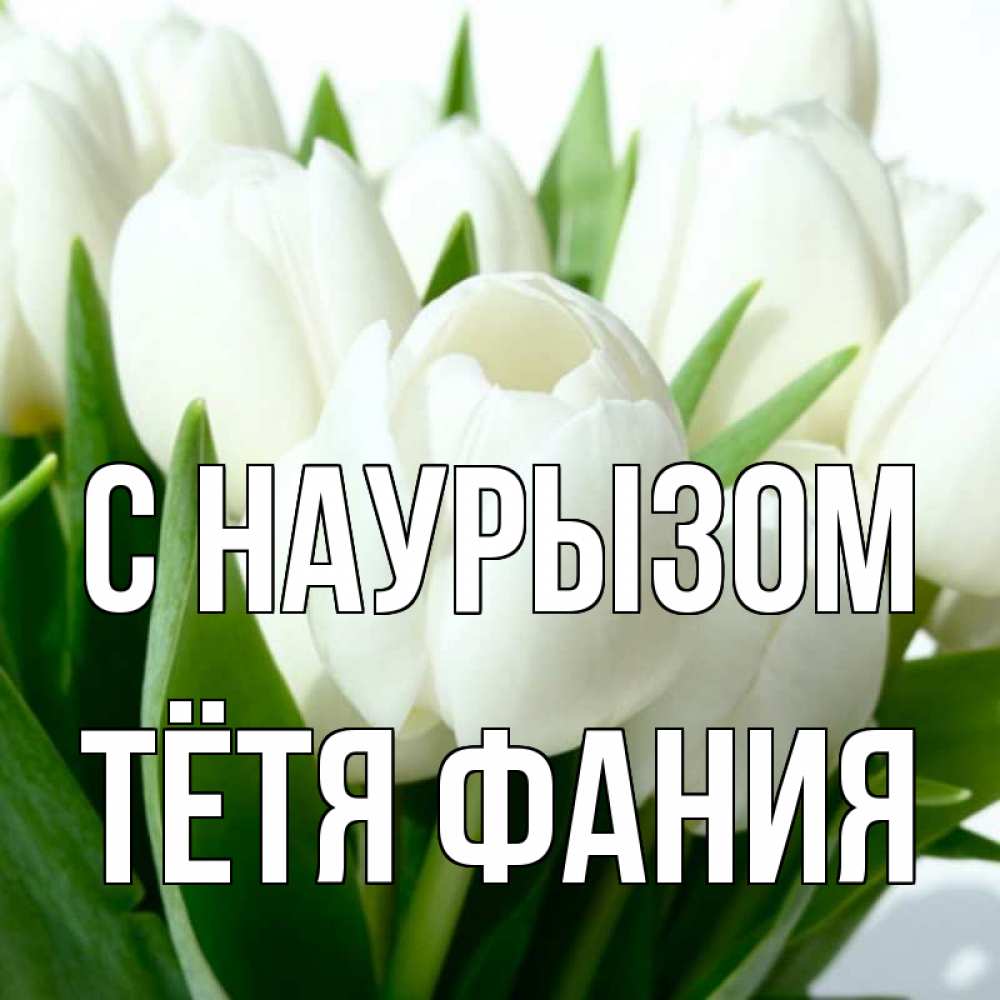 Открытка на каждый день с именем, Тётя-Фания С наурызом цветы Прикольная открытка с пожеланием онлайн скачать бесплатно 