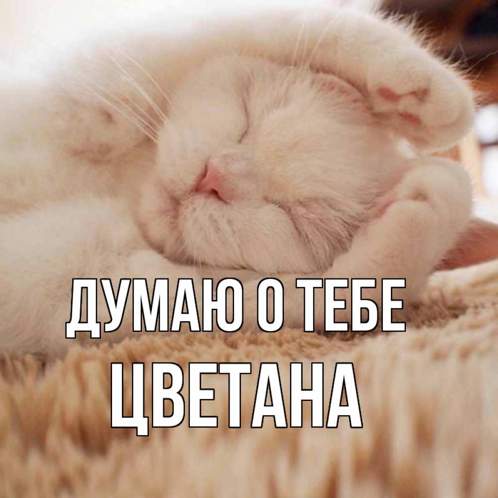 Открытка на каждый день с именем, Цветана Думаю о тебе для любимой девушки милота Прикольная открытка с пожеланием онлайн скачать бесплатно 