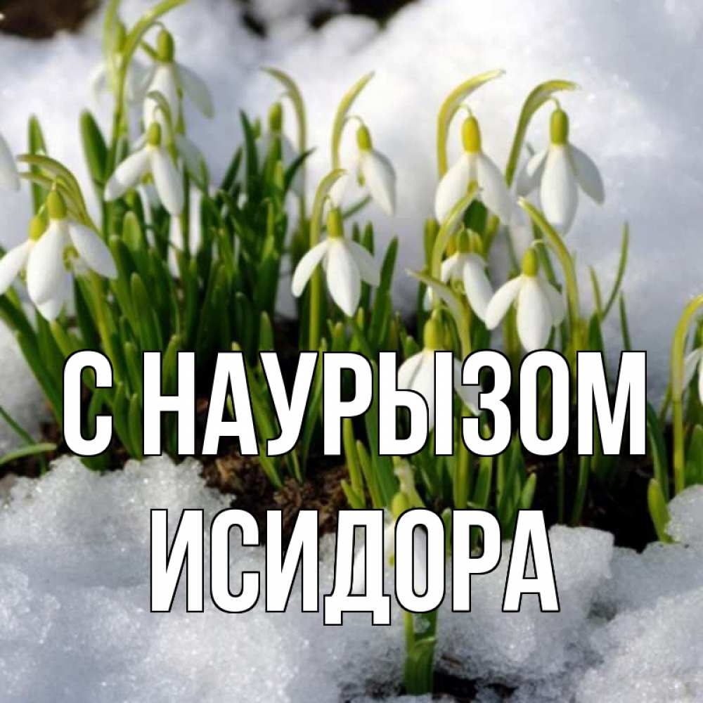 Открытка на каждый день с именем, Исидора С наурызом цветы весенние Прикольная открытка с пожеланием онлайн скачать бесплатно 