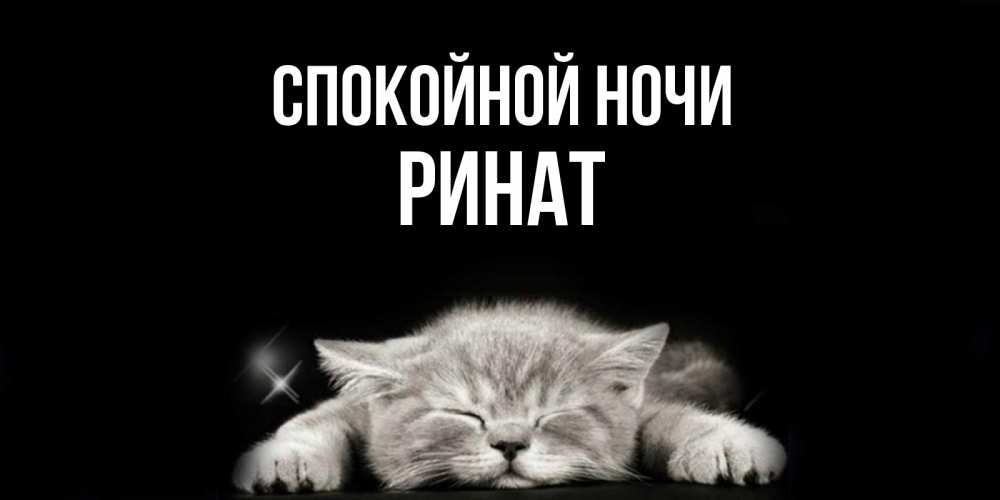 Открытка на каждый день с именем, Ринат Спокойной ночи спящий котик Прикольная открытка с пожеланием онлайн скачать бесплатно 