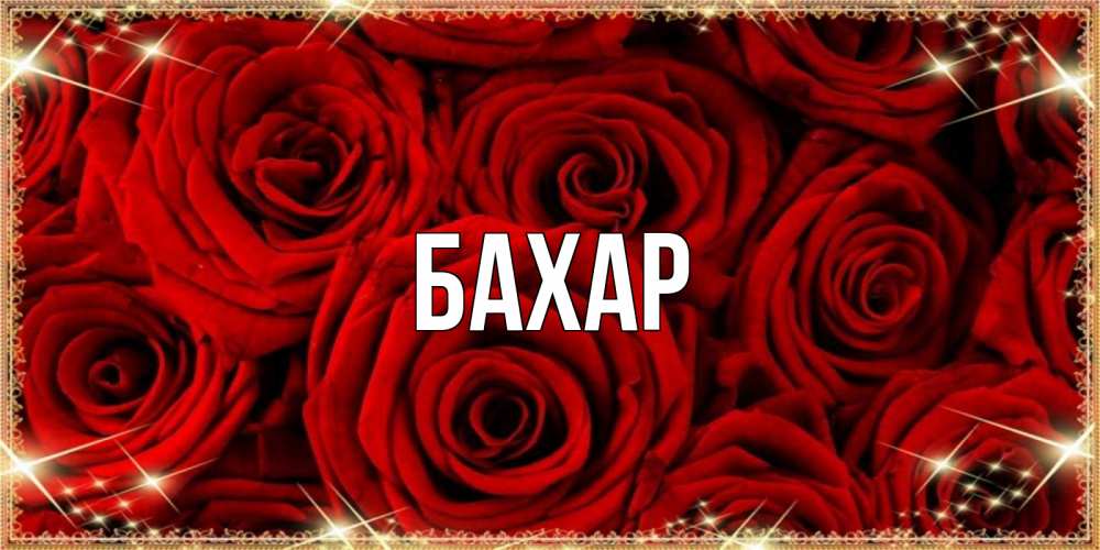 Открытка на каждый день с именем, Бахар Главная открытка для любимой Прикольная открытка с пожеланием онлайн скачать бесплатно 