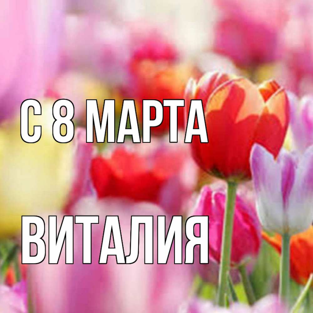 Открытка на каждый день с именем, Виталия С 8 марта на международный женский день 2 Прикольная открытка с пожеланием онлайн скачать бесплатно 