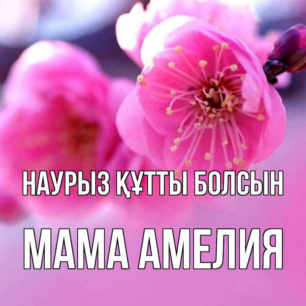 Открытка на каждый день с именем, Мама-Амелия Наурыз құтты болсын наурыз мейрам Прикольная открытка с пожеланием онлайн скачать бесплатно 