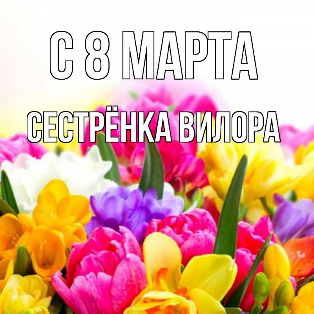Открытка на каждый день с именем, Сестрёнка-Вилора С 8 марта тюльпаны Прикольная открытка с пожеланием онлайн скачать бесплатно 