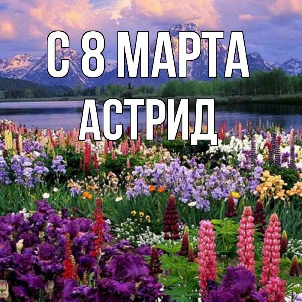 Открытка на каждый день с именем, Астрид С 8 марта международный женский день Прикольная открытка с пожеланием онлайн скачать бесплатно 