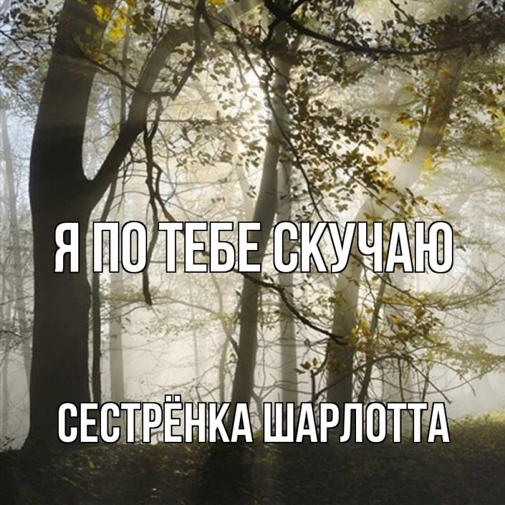 Открытка на каждый день с именем, Сестрёнка-Шарлотта Я по тебе скучаю грустно Прикольная открытка с пожеланием онлайн скачать бесплатно 