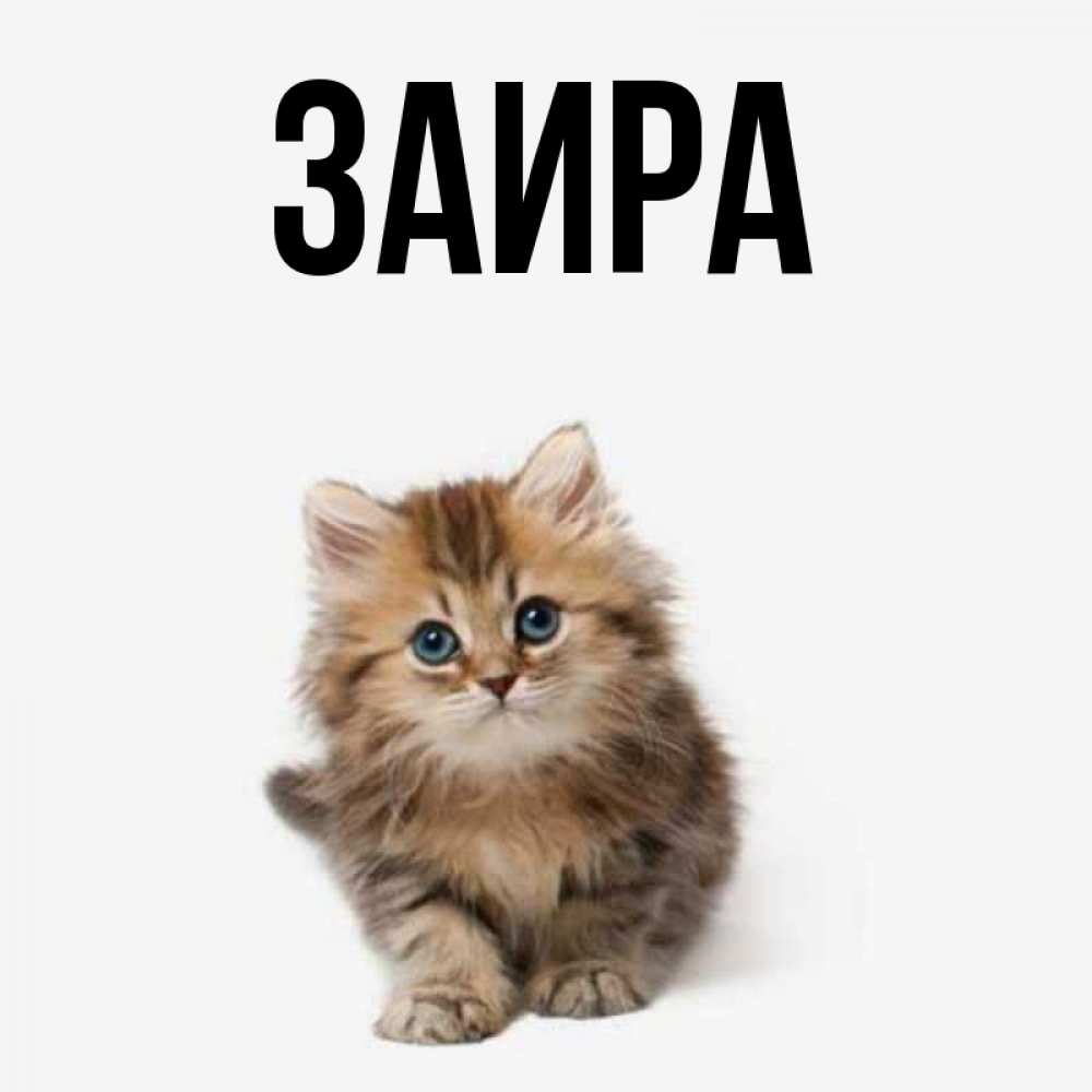 заира имя. заира надпись. заира имя. тайна имени раиса. что означает имя заир.