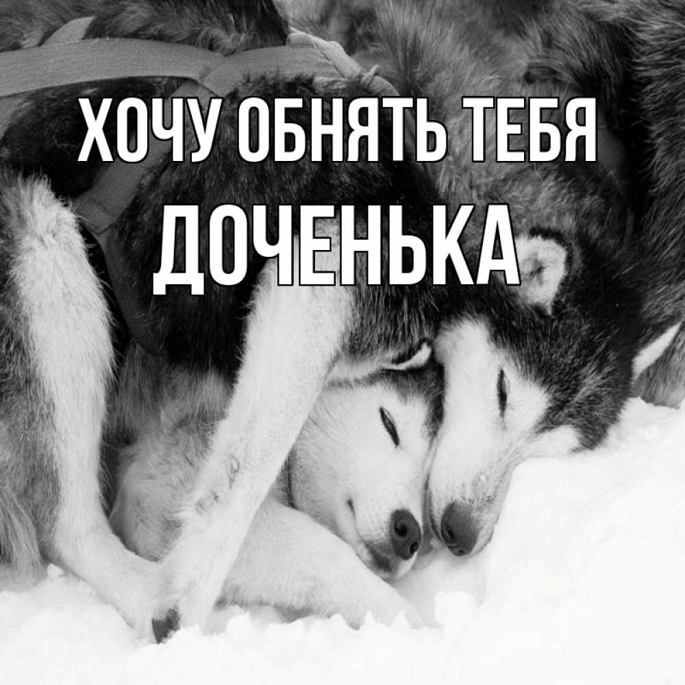 Картинка Хочу обнять тебя, Доченька