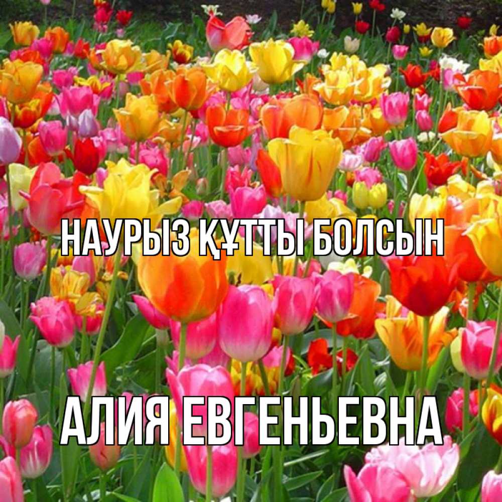Открытка с именем, Алия Евгеньевна, Наурыз құтты болсын