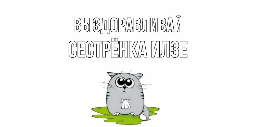 Открытка на каждый день с именем, Сестрёнка-Илзе Выздоравливай кот и открытки про выздоровление Прикольная открытка с пожеланием онлайн скачать бесплатно 